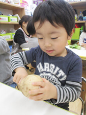 保育園で野菜をみつめる子供の写真