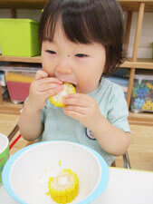 保育園の子どもがとうもろこしを食べている写真