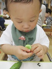保育園時がそらまめをむく様子