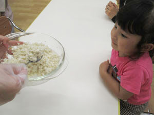 保育園児が麹を見ている様子