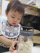 保育園児が麹を見ている様子