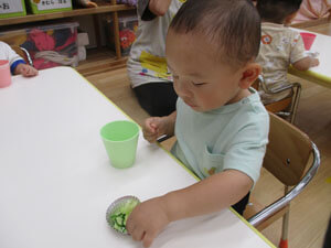 糠漬けを食べる保育園児