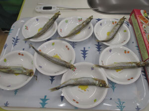 お皿にのったしゃしも