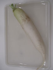 だいこんの写真