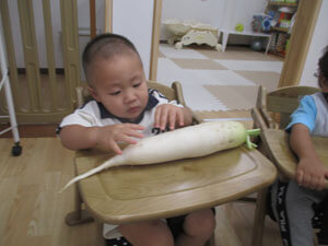 大根をみる保育園児