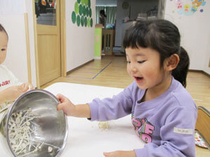 きのこを触る保育園児たち