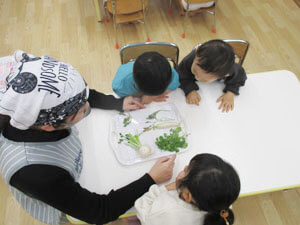 春の七草を見せる先生と保育園児の様子