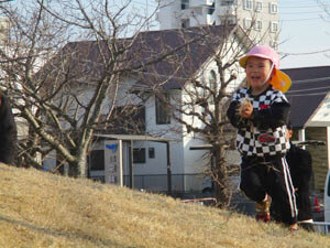 保育園児が公園で遊ぶ様子