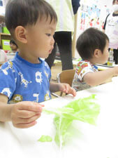 保育園の食育の時間にキャベツを楽しそうにちぎる園児の様子