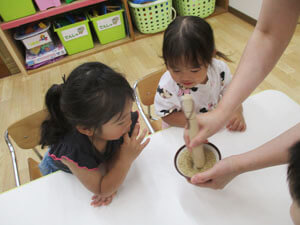 先生とごまをする保育園児