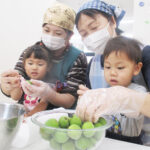 梅のヘタ取りを先生と行う保育園児の様子