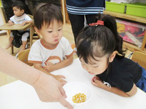 保育園児がコーンを覗き込む様子