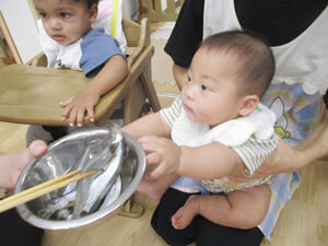 食育の時間にししゃもを観察する保育園児の様子